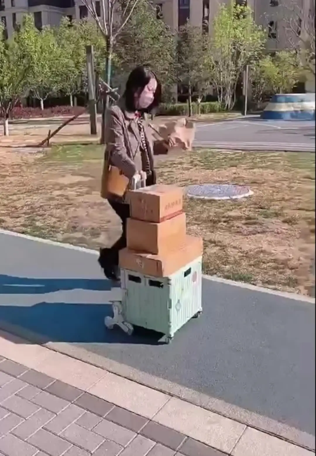 Складная тележка Trolly 35кг