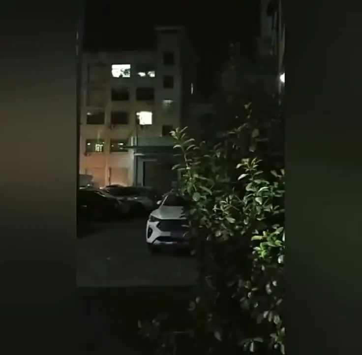 Солнечная лампа безопасности FPOO 77 LED
